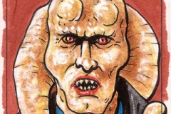 Bib Fortuna