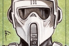 Biker scout